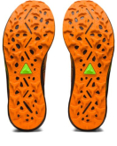 Asics FUJISPEED 2